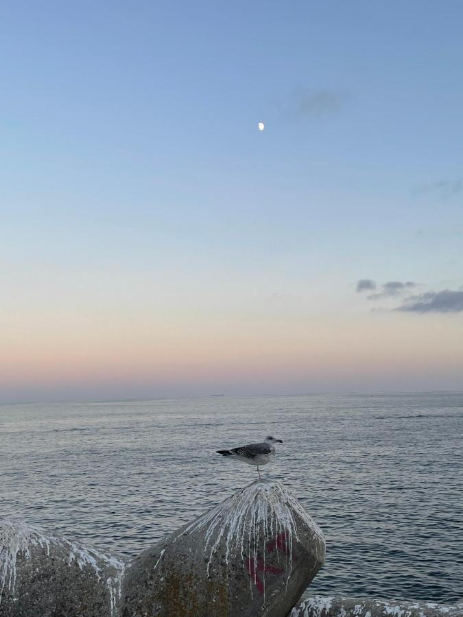 O Som Das Ondas - Vista Soberba De Mar Sesimbra Esterno foto